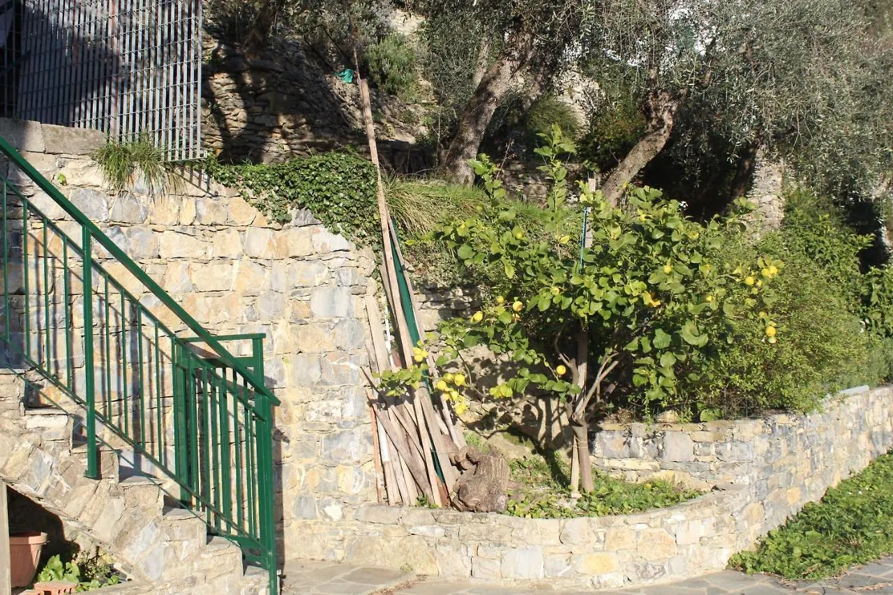 Casa Laura Villa Zoagli Italy